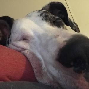 Meet your Posher, Chris n